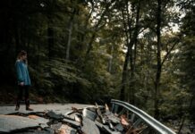 “환경피해예방 및 피해자 배상 강화”…제4기 환경책임보험 출범 man in blue jacket and blue denim jeans walking on brown wooden bridge during daytime
