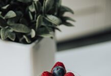 건강한 장을 만드는 음식과 운동 방법 blueberries and raspberries