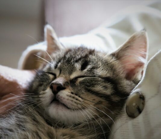 수면, 스트레스 해소를 위한 필수!