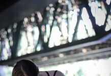 “늘 다이어트 중인데도 살이 안 빠져요”… 혹시 ‘근육 없는 체중감량’ 아닌가요? A woman in a black top is doing a push up