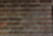 ‘마음의 근육’도 키운다… 일상 속에서 실천하는 정신건강 루틴 인기 green plant near brown brick wall